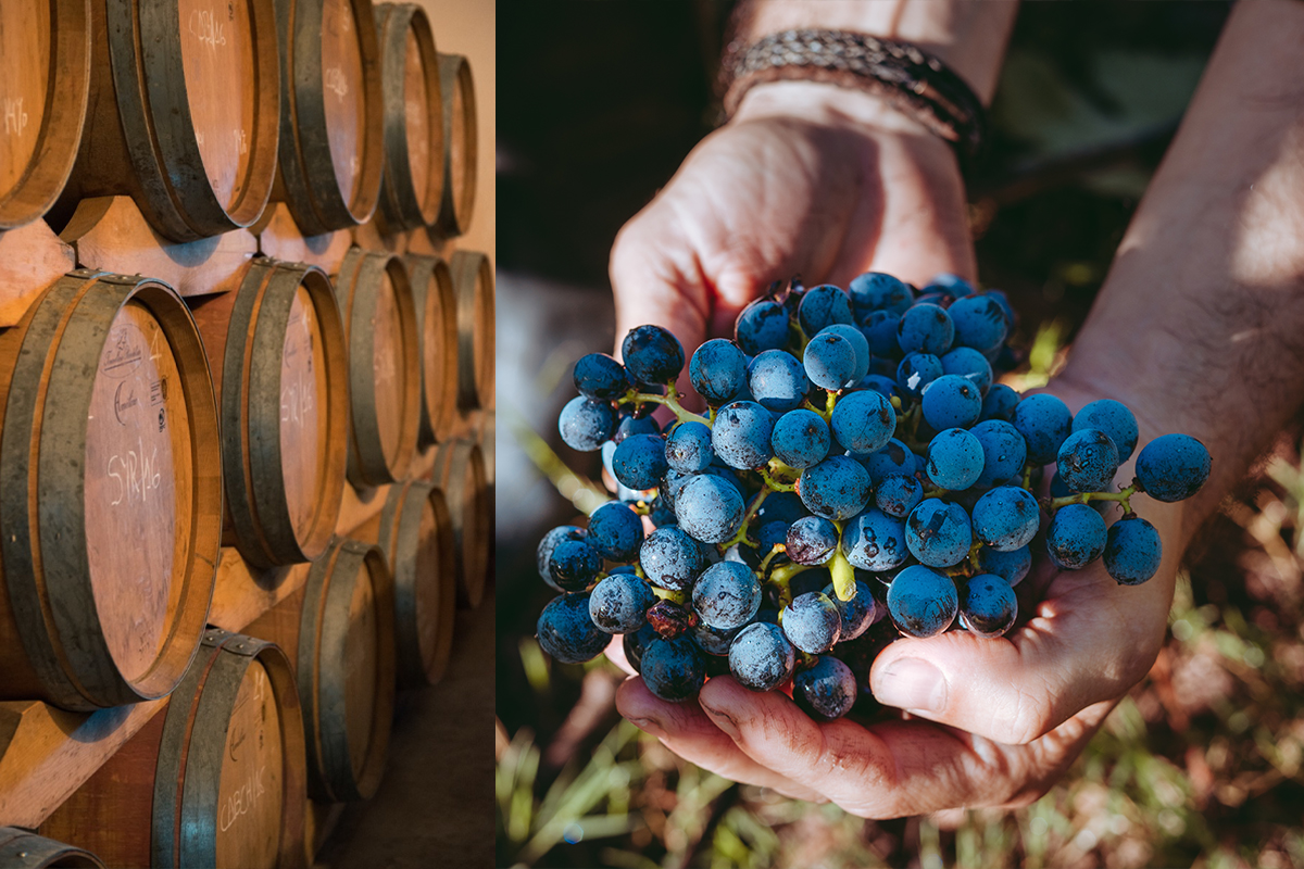 Bodega Can Feliu