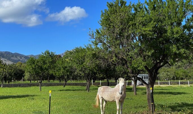 Gabriela Coduri Affrini Gabi