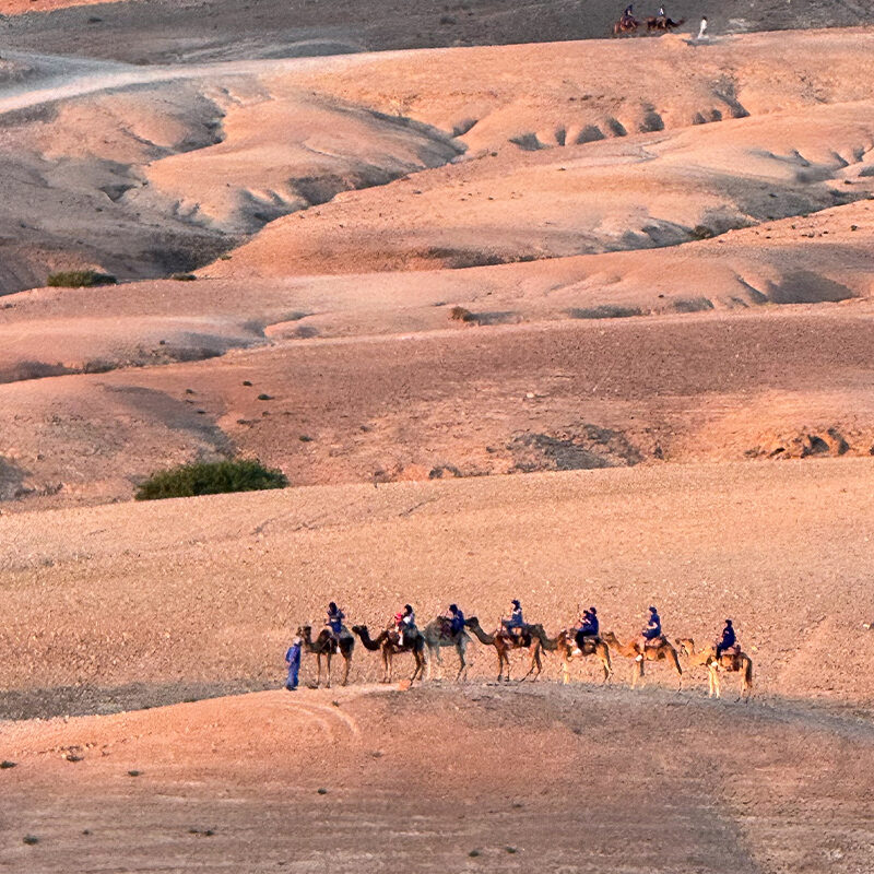 Marrakesh Transformational Retreat