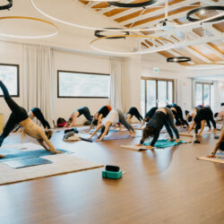 Mallorca Integral Health Fest