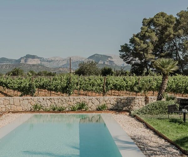 Villa de campo elegante con vistas a viñedos y piscina privada en venta en biniali, sencelles